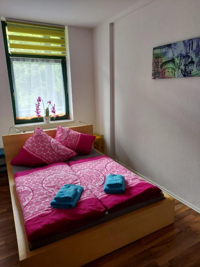 Ferienwohnung Eddi Reichenbach im Vogtland Exterior photo